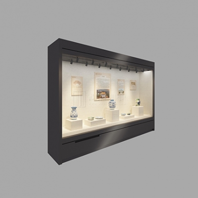 Museum Glass Display Wall Cabinet
